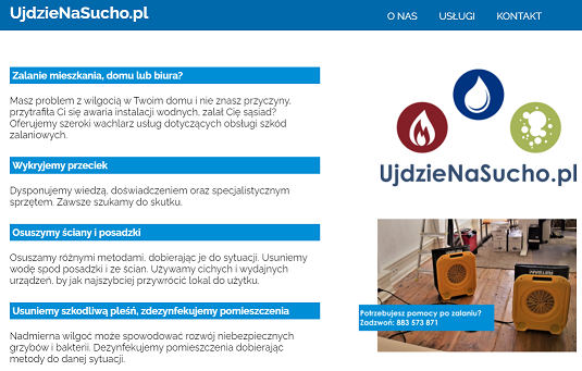 website print screen